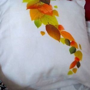 Cushion